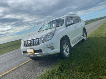 Prado TX 150