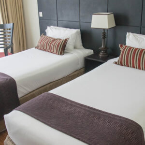 Mount Meru Hotel Standard Twin Beds